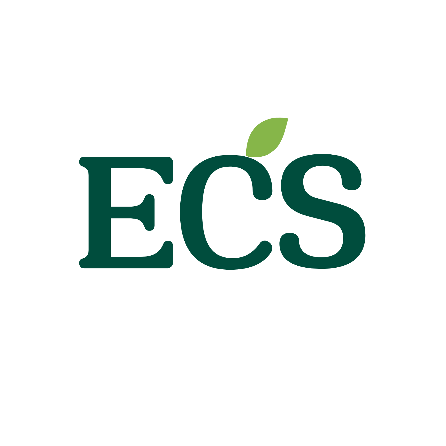 Earth Conscious Solutions - Light Icon
